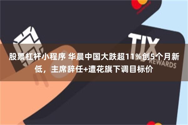 股票杠杆小程序 华晨中国大跌超11%创5个月新低，主席辞任+遭花旗下调目标价