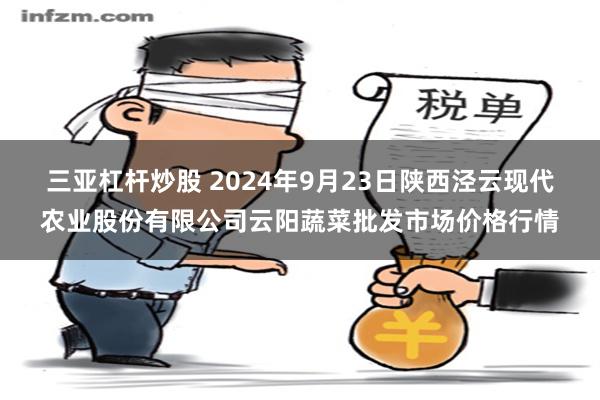 三亚杠杆炒股 2024年9月23日陕西泾云现代农业股份有限公司云阳蔬菜批发市场价格行情