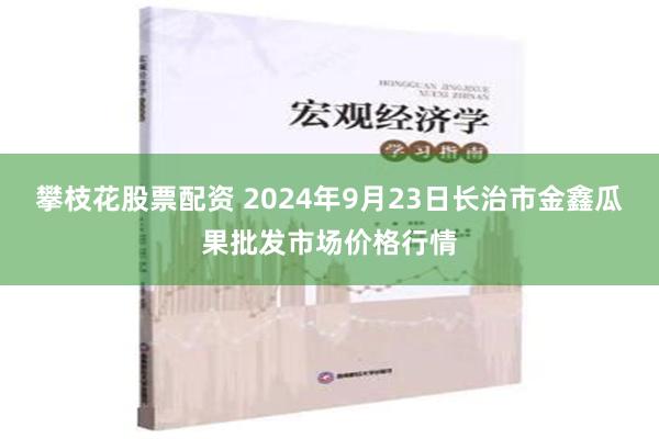 攀枝花股票配资 2024年9月23日长治市金鑫瓜果批发市场价格行情