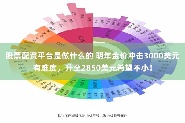 股票配资平台是做什么的 明年金价冲击3000美元有难度，升至2850美元希望不小！