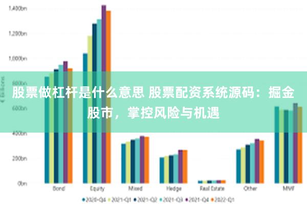 股票做杠杆是什么意思 股票配资系统源码：掘金股市，掌控风险与机遇