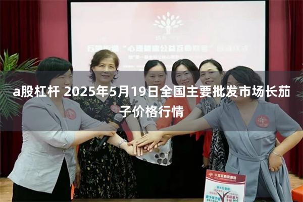 a股杠杆 2025年5月19日全国主要批发市场长茄子价格行情
