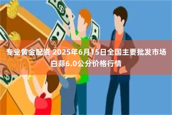 专业黄金配资 2025年6月15日全国主要批发市场白蒜6.0公分价格行情