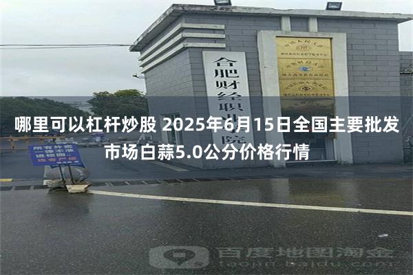 哪里可以杠杆炒股 2025年6月15日全国主要批发市场白蒜5.0公分价格行情